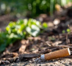 La OMS alerta sobre el impacto ambiental de la industria tabacalera